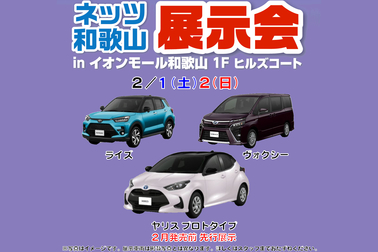 ヤリス_イオン