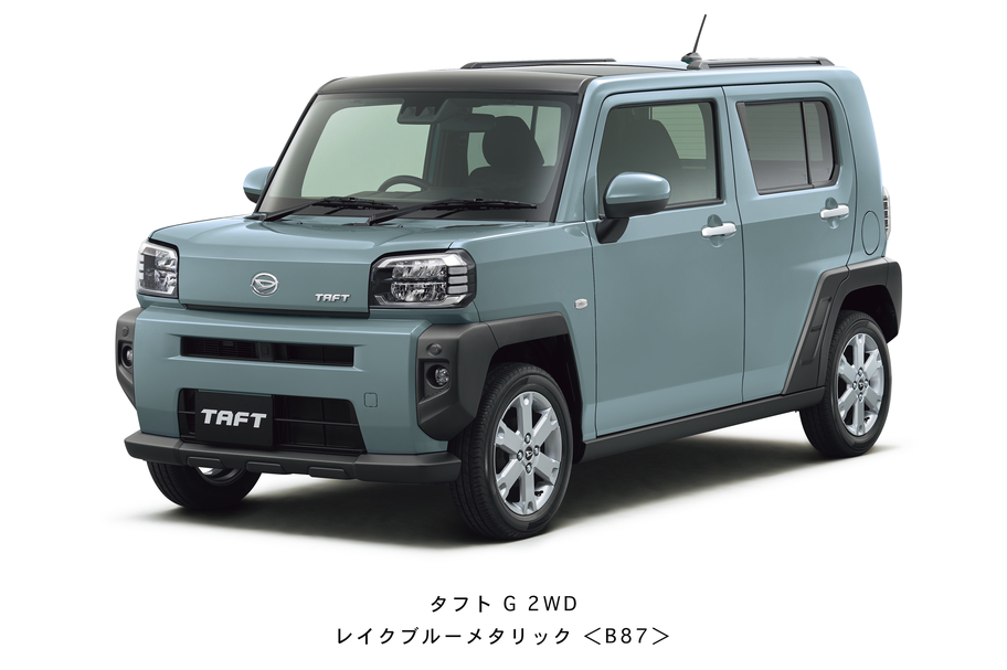 新型タフト