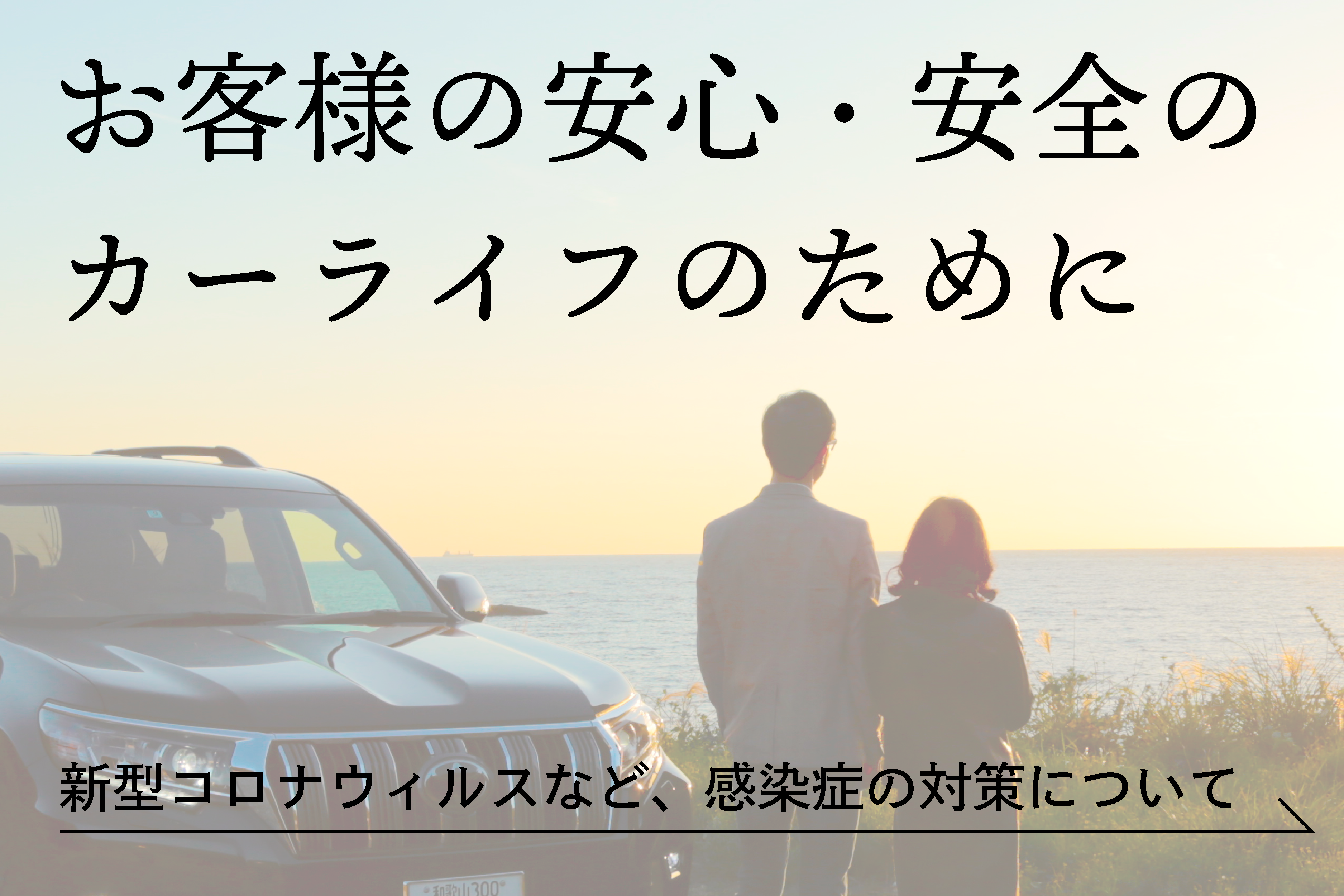 国体道路店 ネッツトヨタ和歌山株式会社