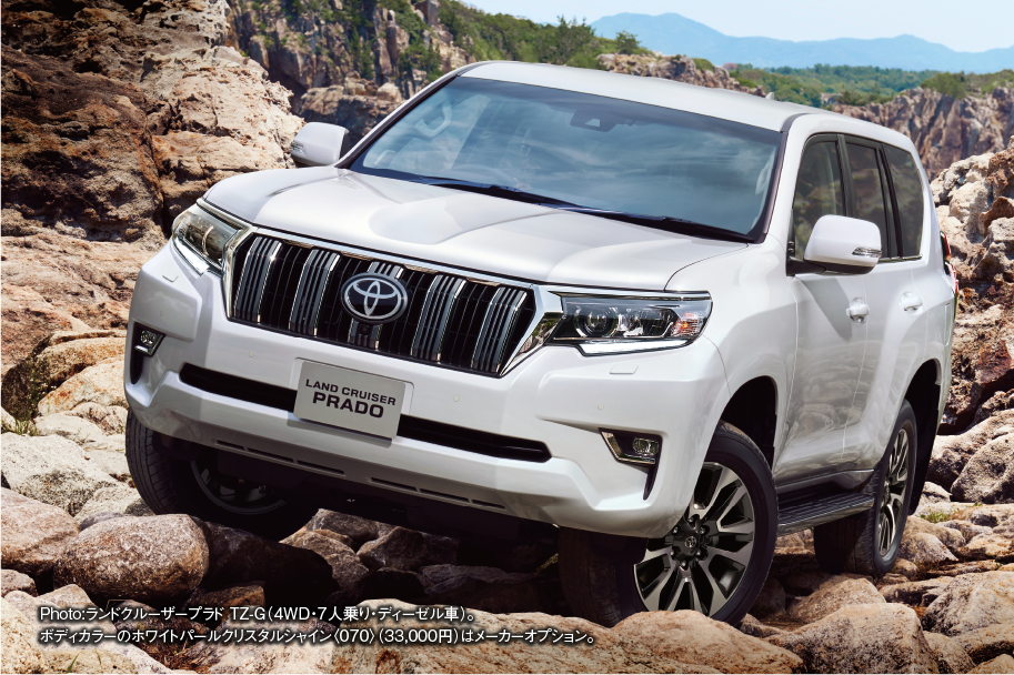 prado_img_pc