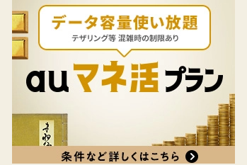 ピタットプラン5G_お得な料金プラン_【21年4月～】携帯・スマホを購入したい