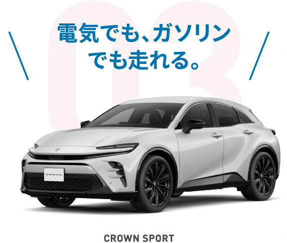 CROWN SPORT