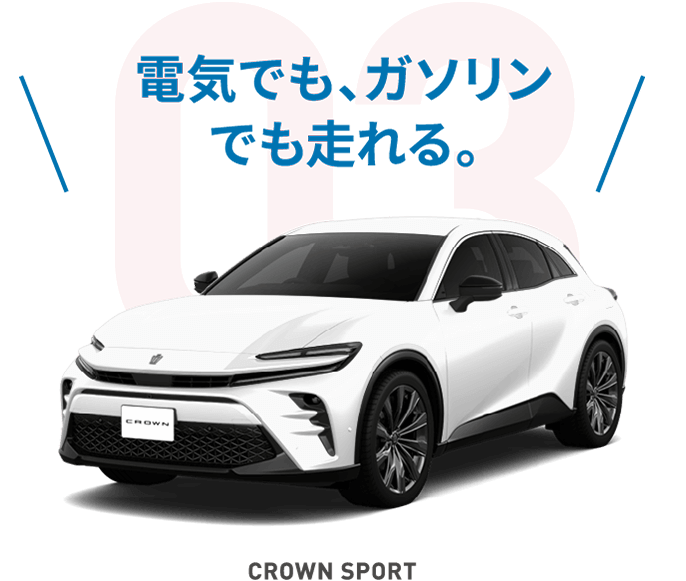 CROWN SPORT